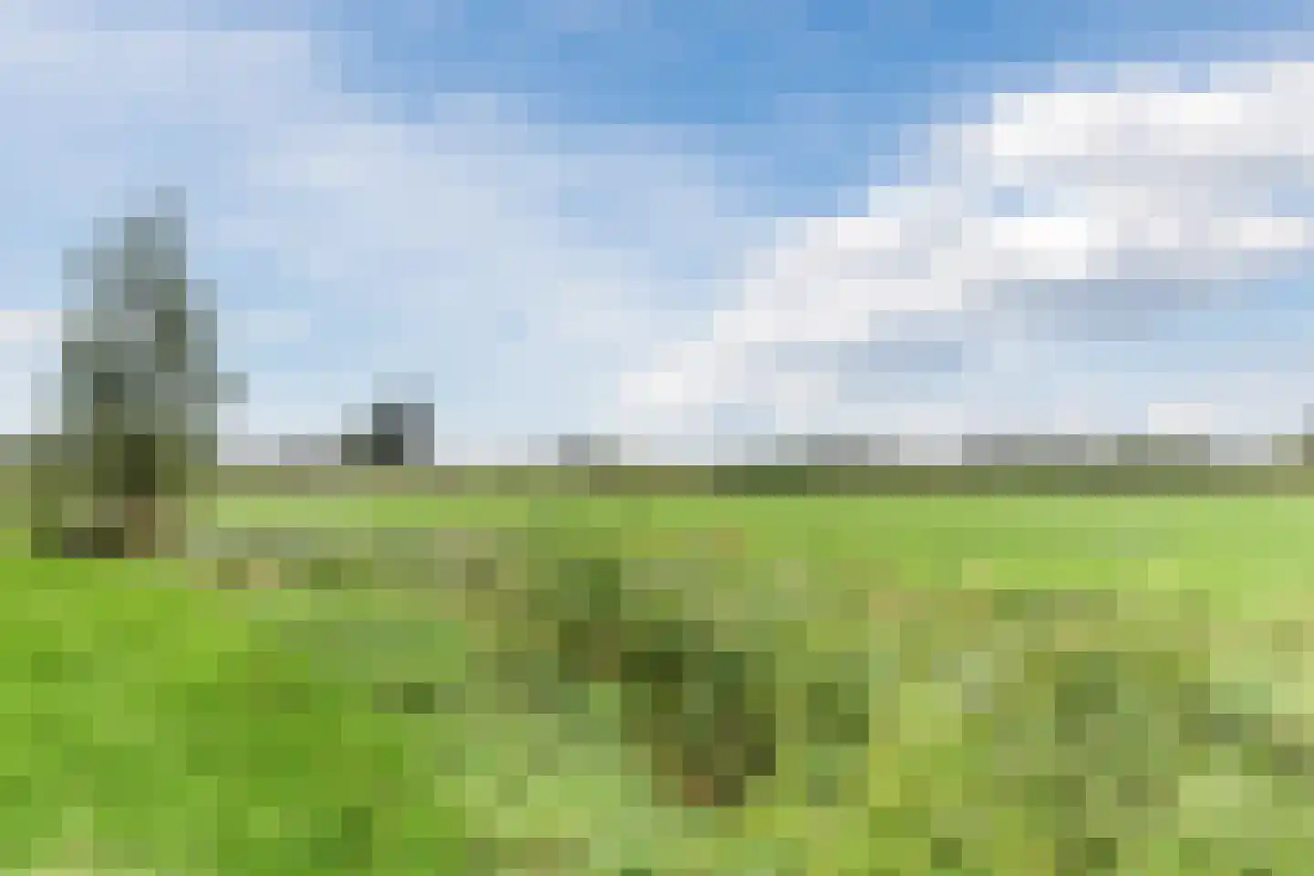 De Hoepelmaker 13 Rijswijk (NB) thumbnail 46