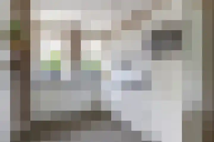 De Hoeve 1 Goudriaan thumbnail 11