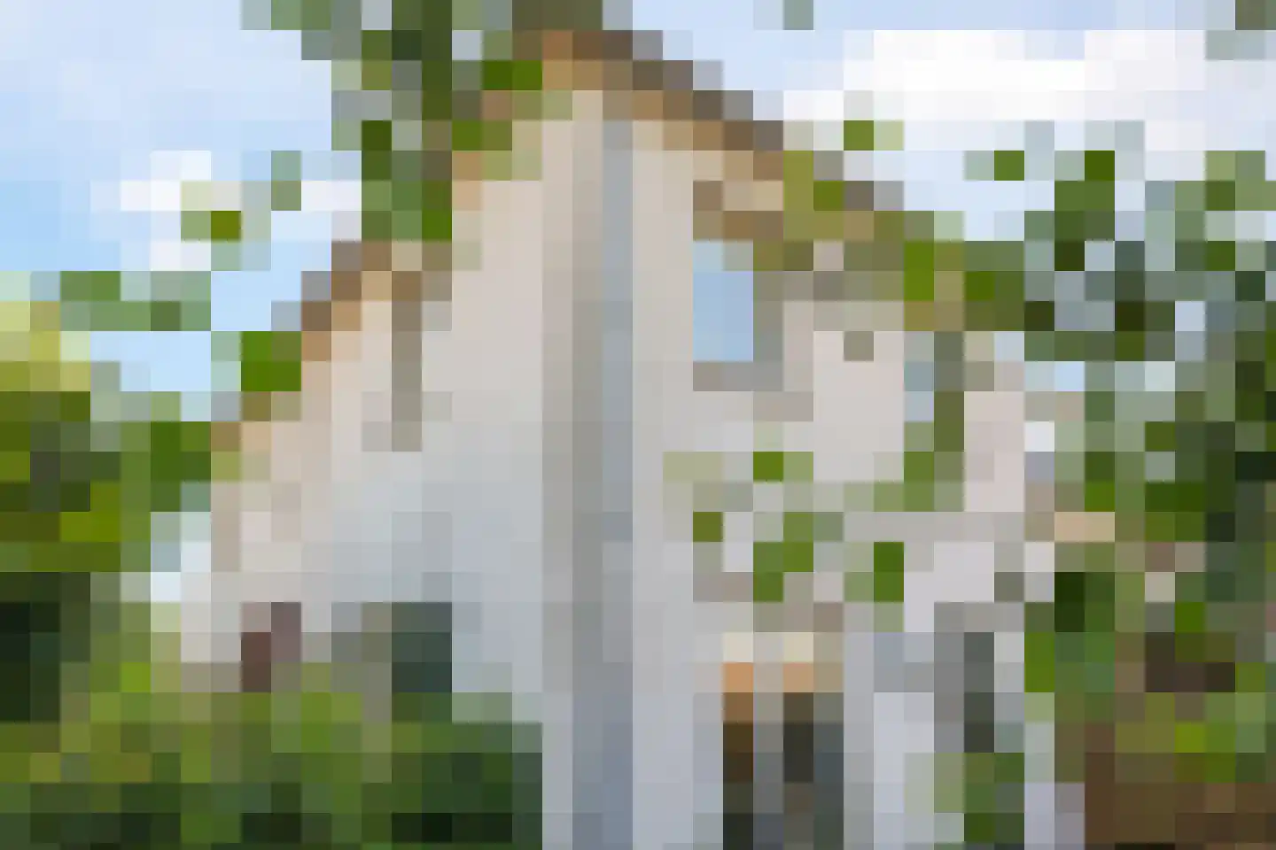 De Hoeve 1 Herveld thumbnail 49