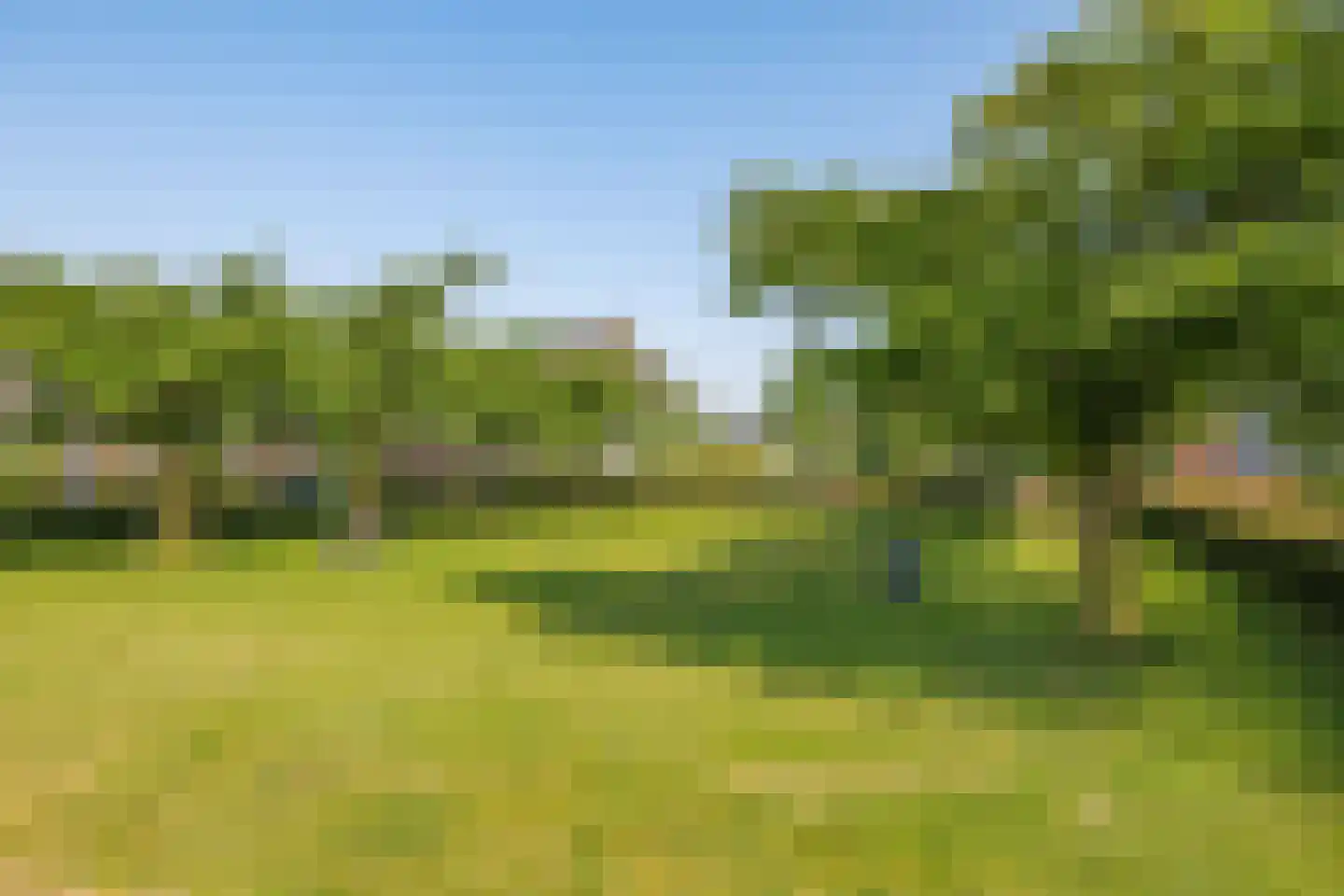 De Hoeve 1 Herveld thumbnail 69