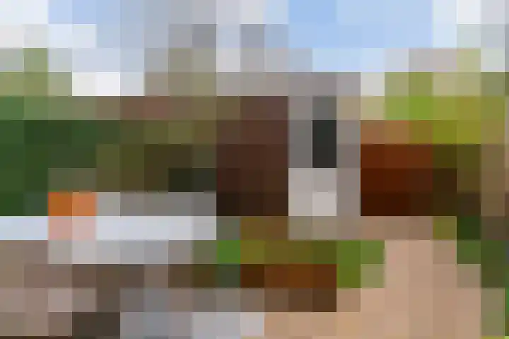 De Hoeve 13 Herveld thumbnail 30
