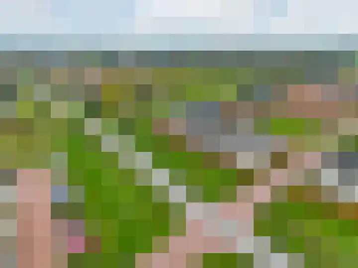 De Hoeve 13 Herveld thumbnail 44