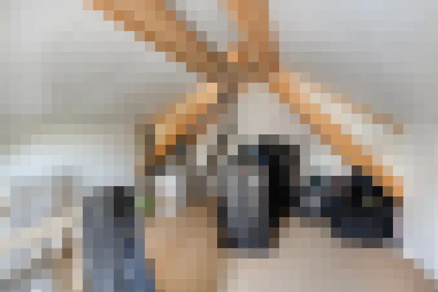 de Hoeve 17 Nieuw Heeten thumbnail 35