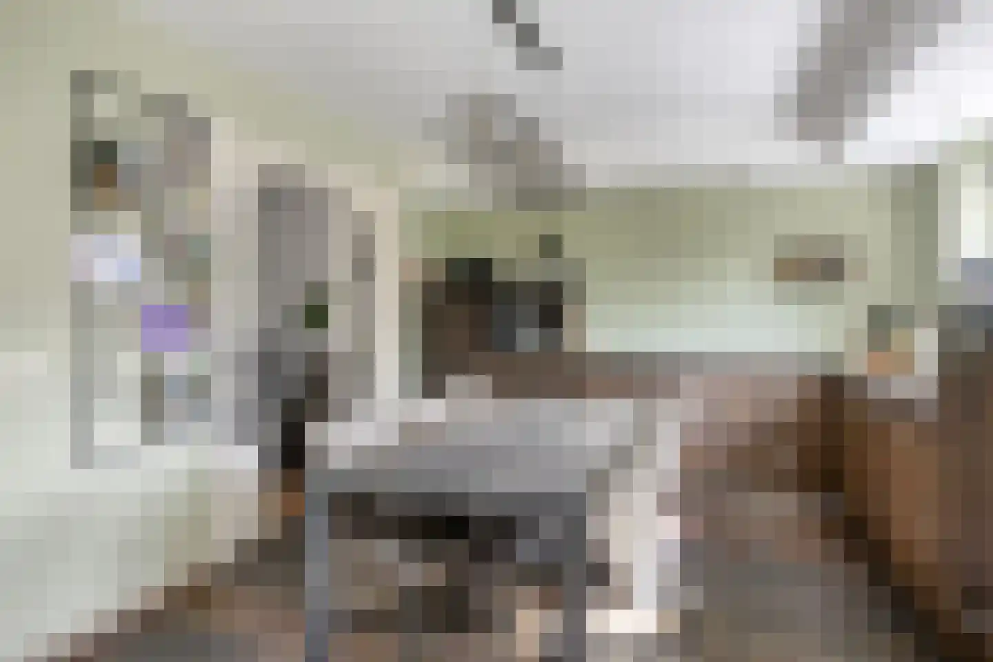 de Hoeve 17 Nieuw Heeten thumbnail 9