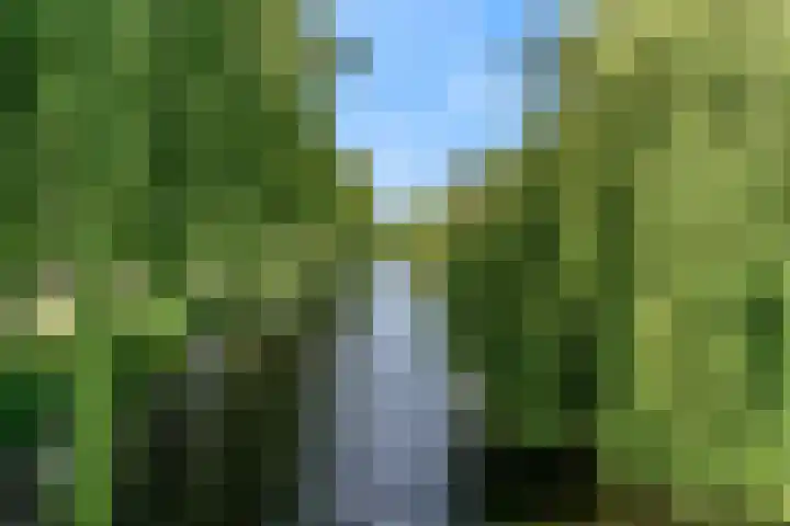 de Hoeve 21 Kamerik thumbnail 31