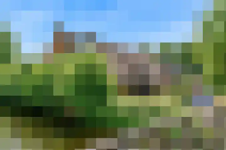 de Hoeve 21 Kamerik thumbnail 33