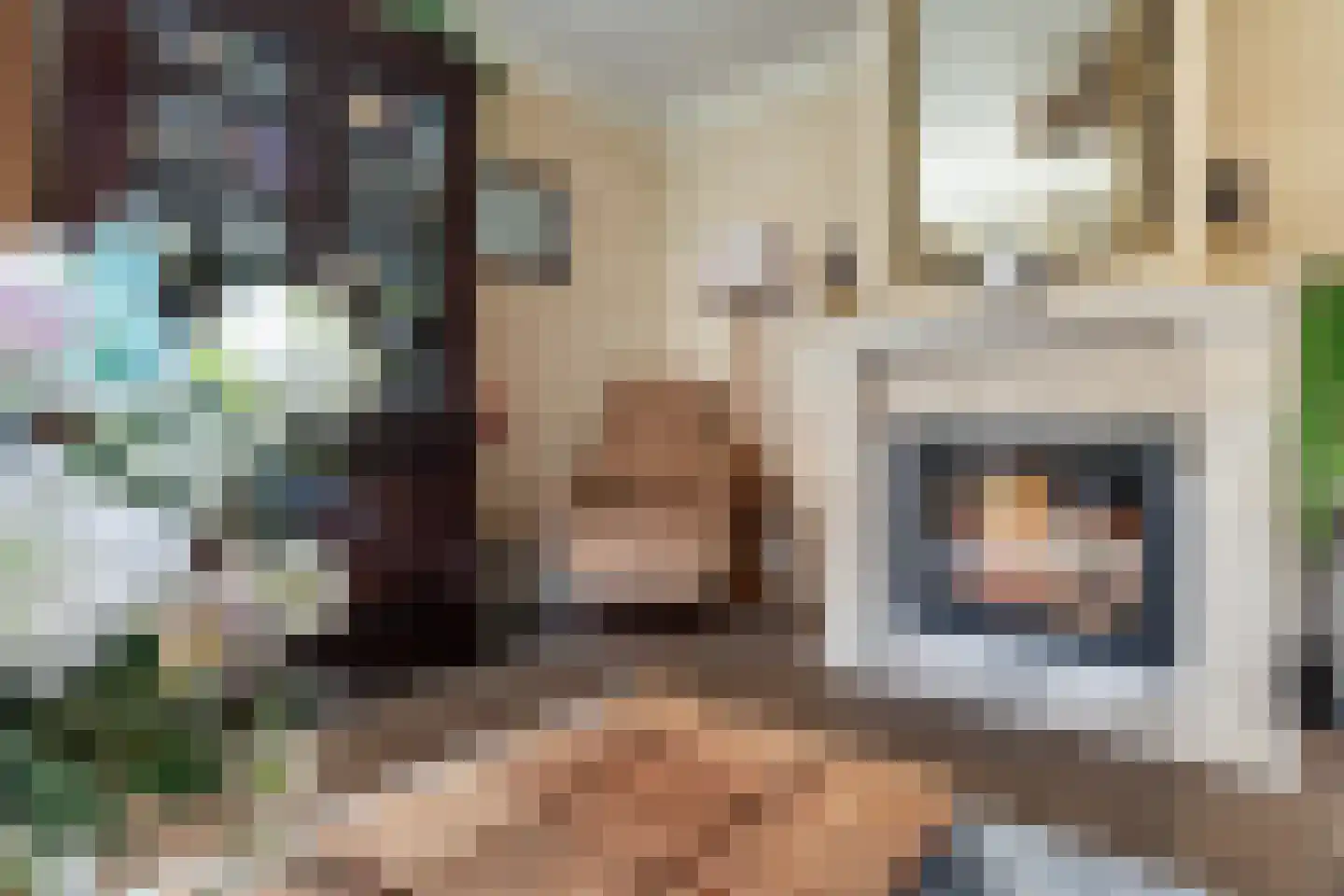 de Hoeve 22 Nieuw Heeten thumbnail 11