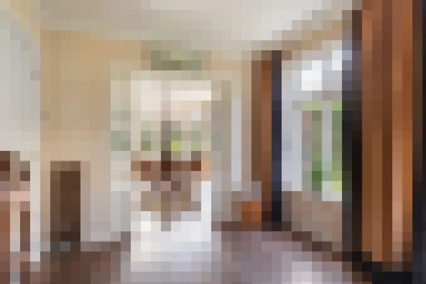 de Hoeve 22 Nieuw Heeten thumbnail 16
