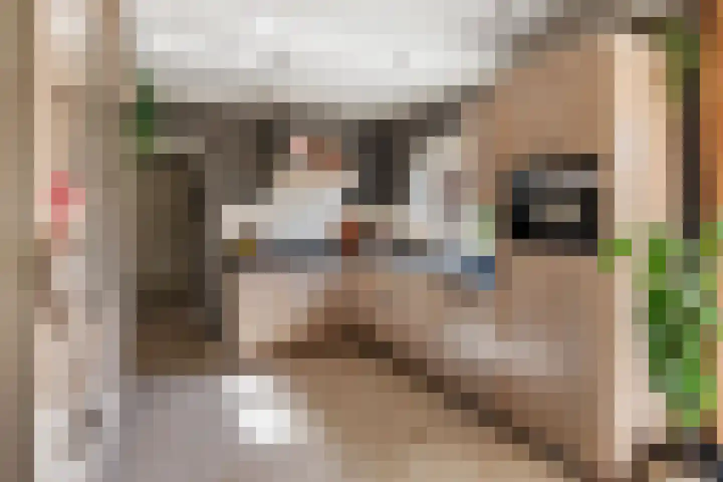 de Hoeve 22 Nieuw Heeten thumbnail 20