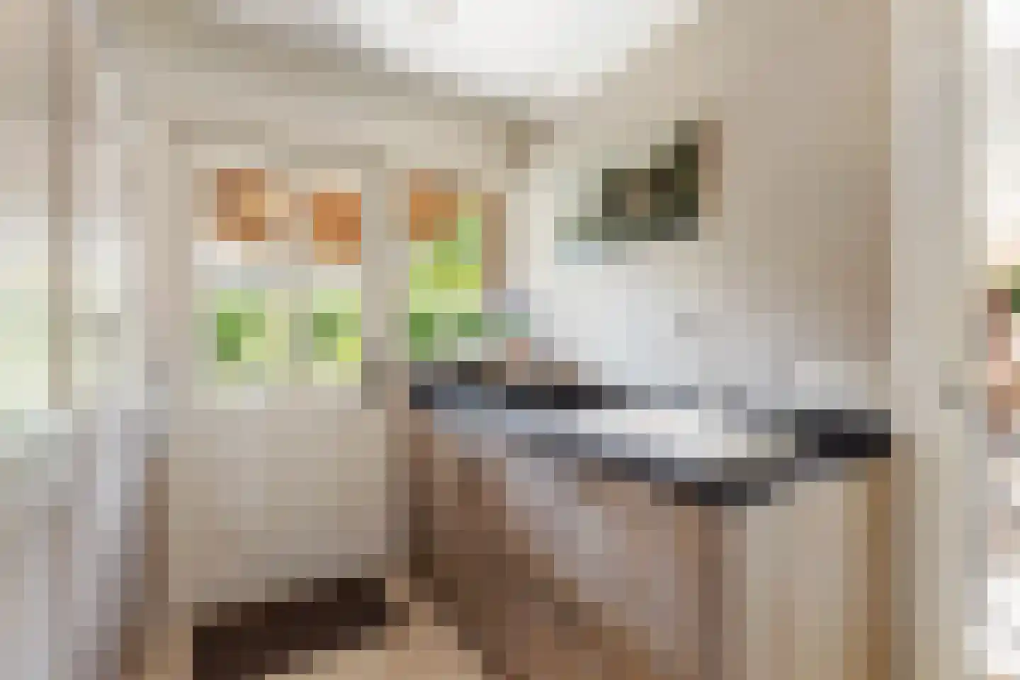 de Hoeve 22 Nieuw Heeten thumbnail 24