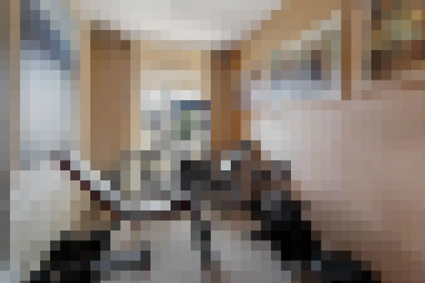 de Hoeve 22 Nieuw Heeten thumbnail 35