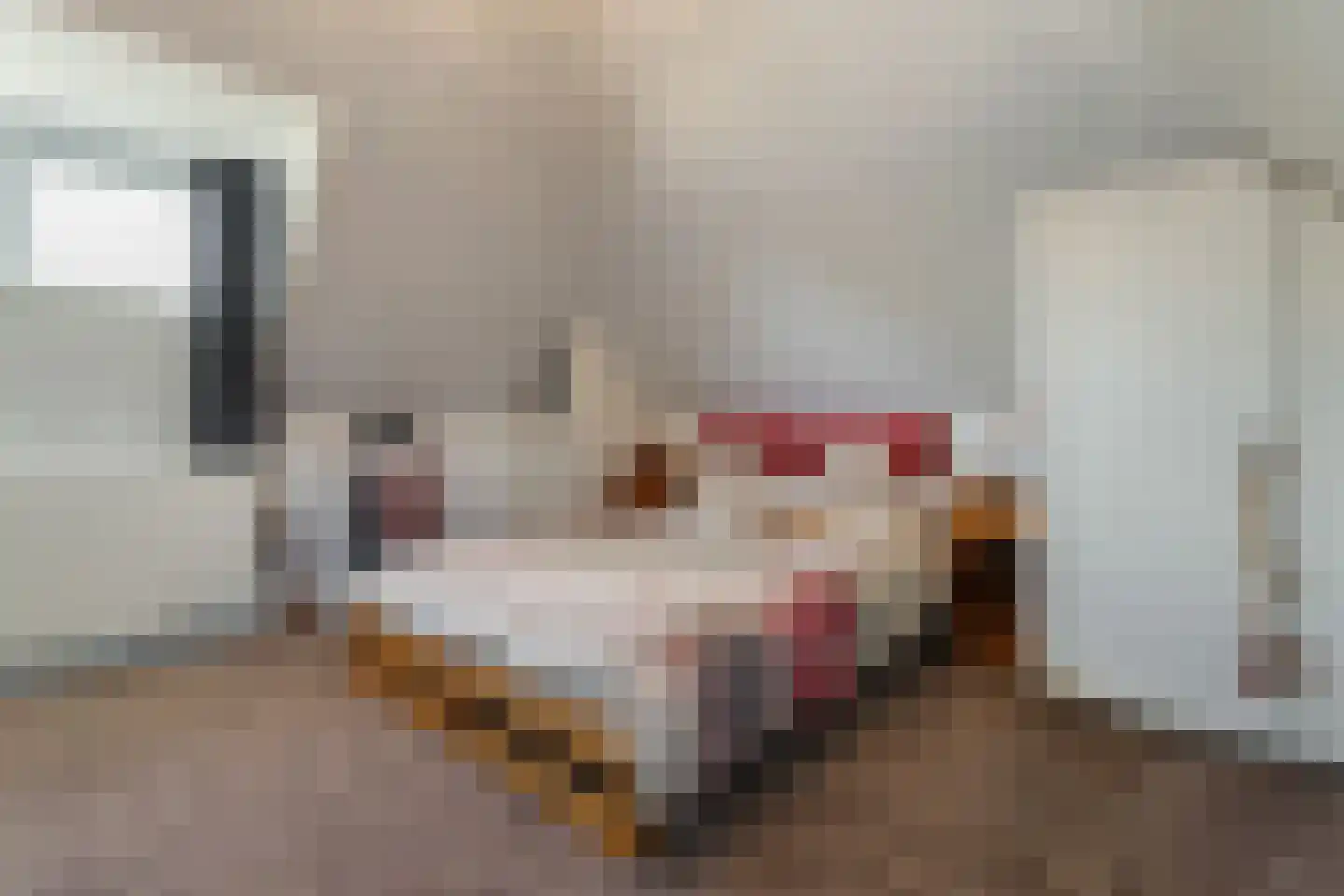 de Hoeve 22 Nieuw Heeten thumbnail 40
