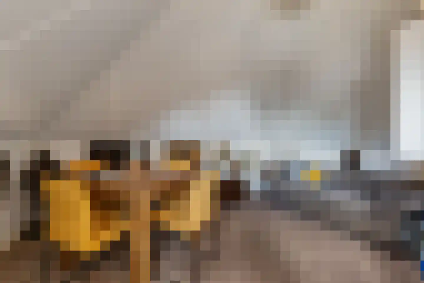 de Hoeve 22 Nieuw Heeten thumbnail 42