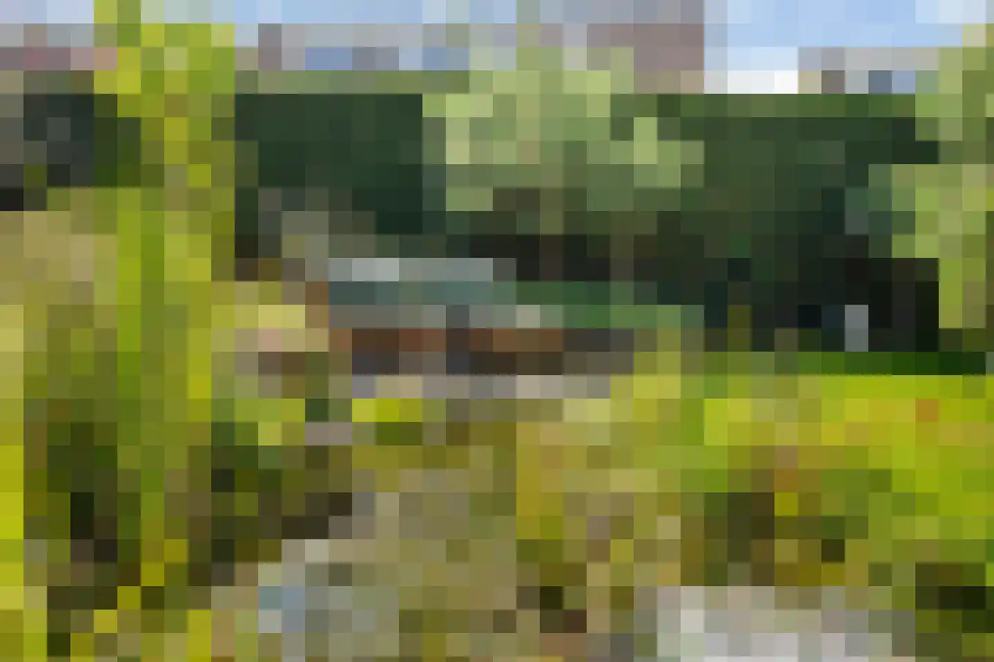 de Hoeve 22 Nieuw Heeten thumbnail 45
