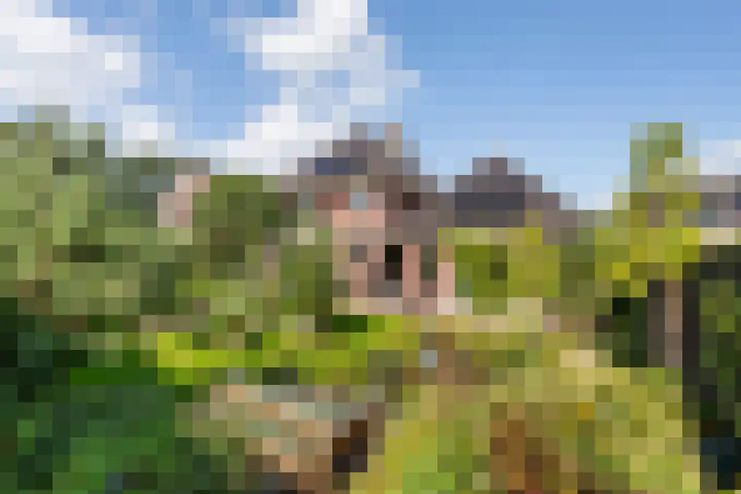 de Hoeve 22 Nieuw Heeten thumbnail 46
