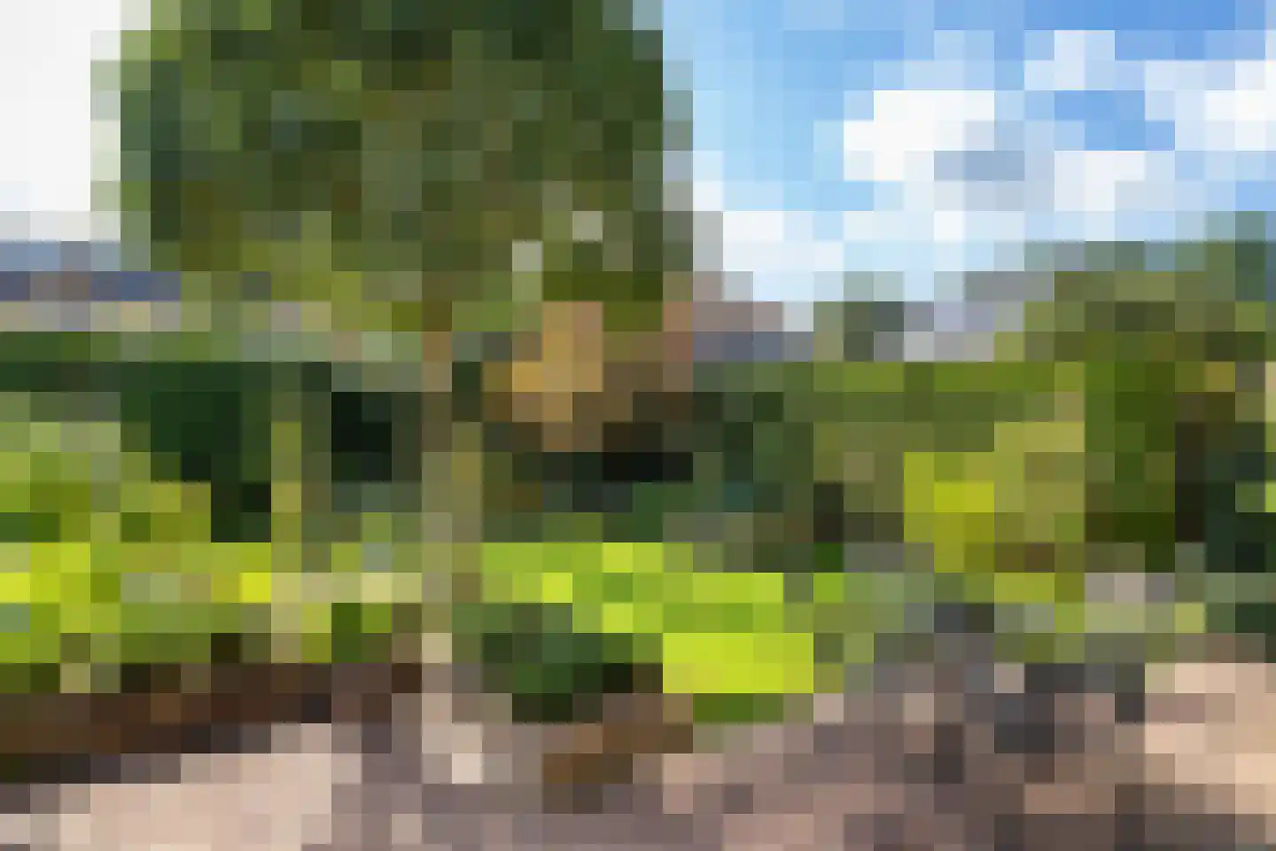 de Hoeve 22 Nieuw Heeten thumbnail 48