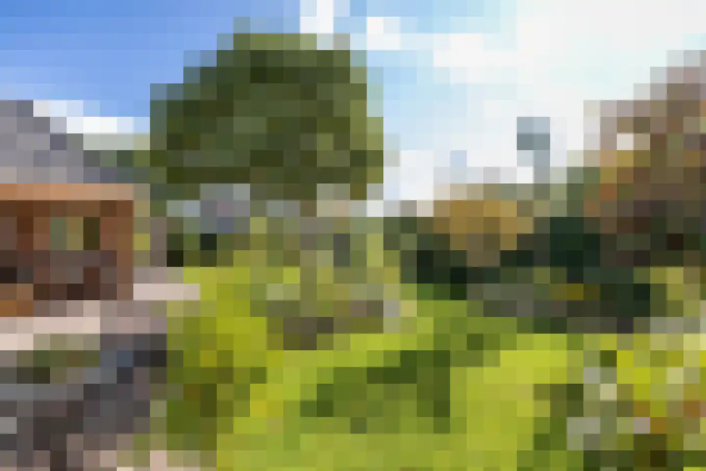 de Hoeve 22 Nieuw Heeten thumbnail 49