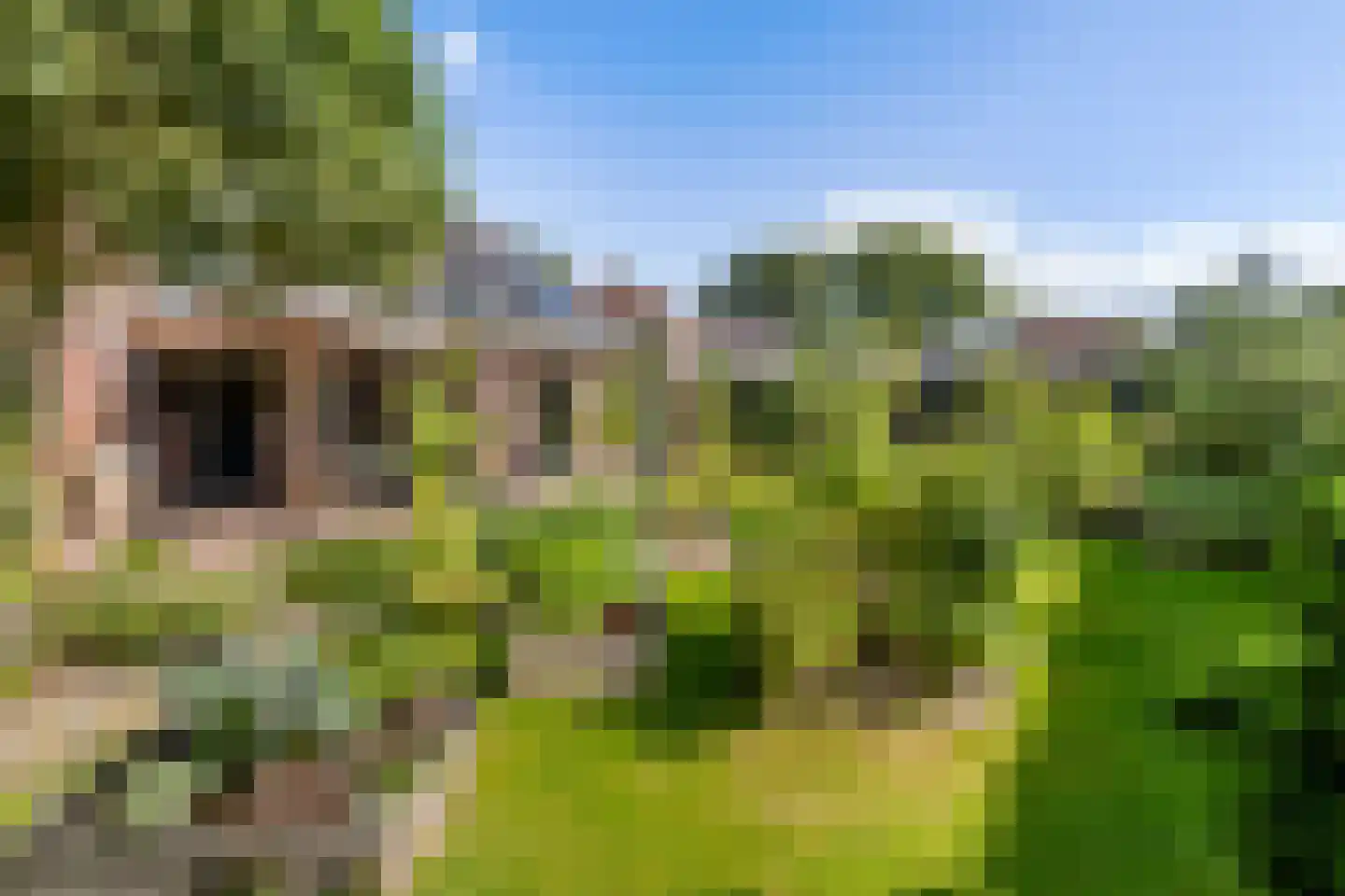 de Hoeve 22 Nieuw Heeten thumbnail 50