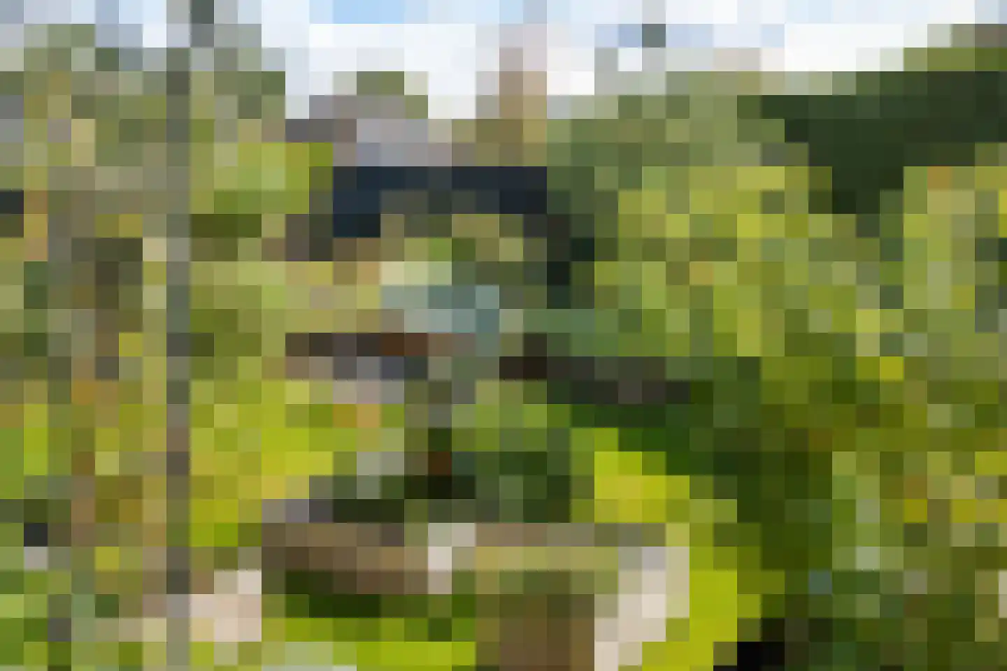 de Hoeve 22 Nieuw Heeten thumbnail 53