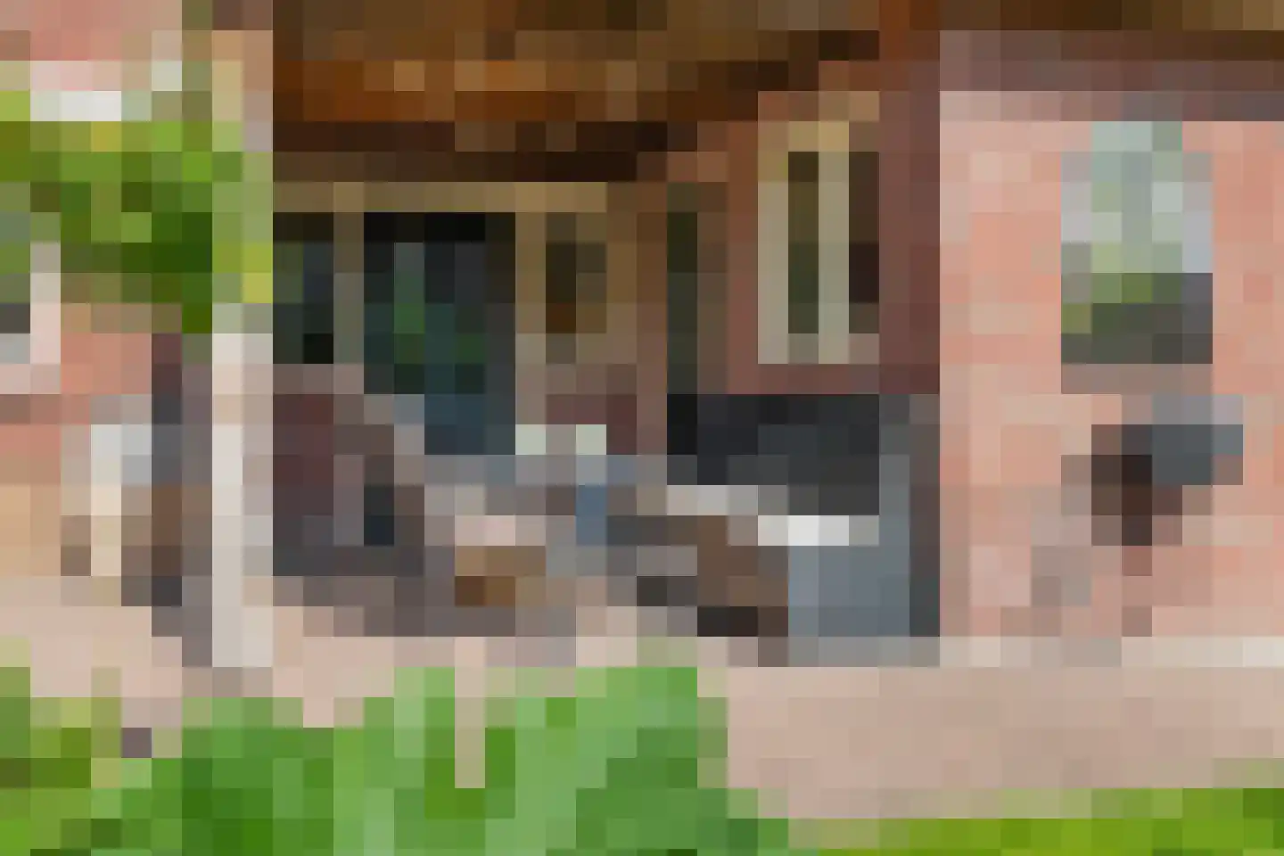 de Hoeve 22 Nieuw Heeten thumbnail 54