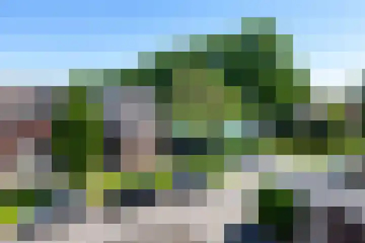 de Hoeve 28 Kamerik thumbnail 20