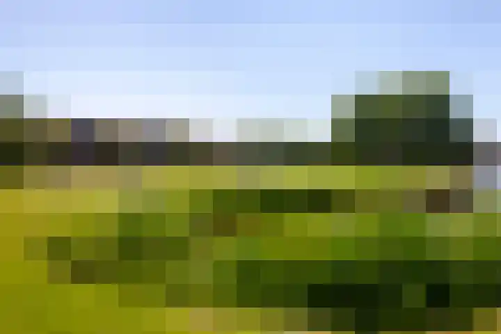 de Hoeve 28 Kamerik thumbnail 37