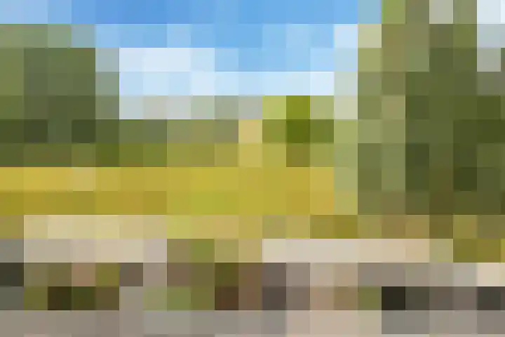De Hoeve 29 Herveld thumbnail 43