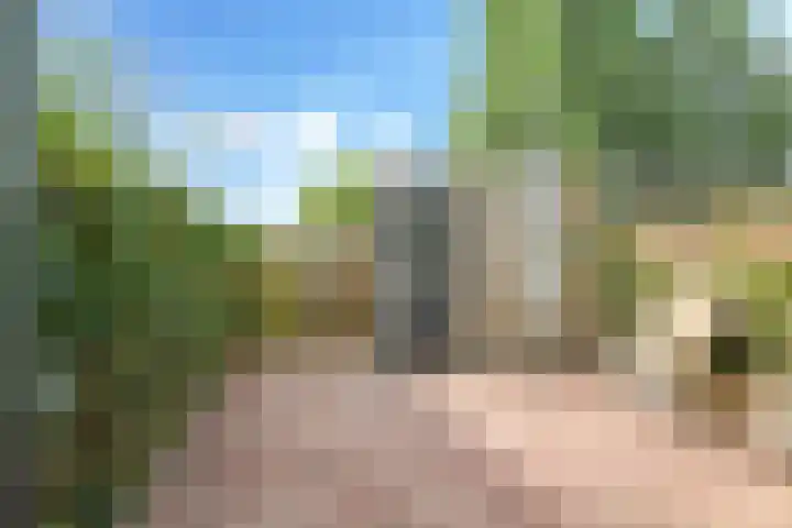 De Hoeve 29 Herveld thumbnail 47