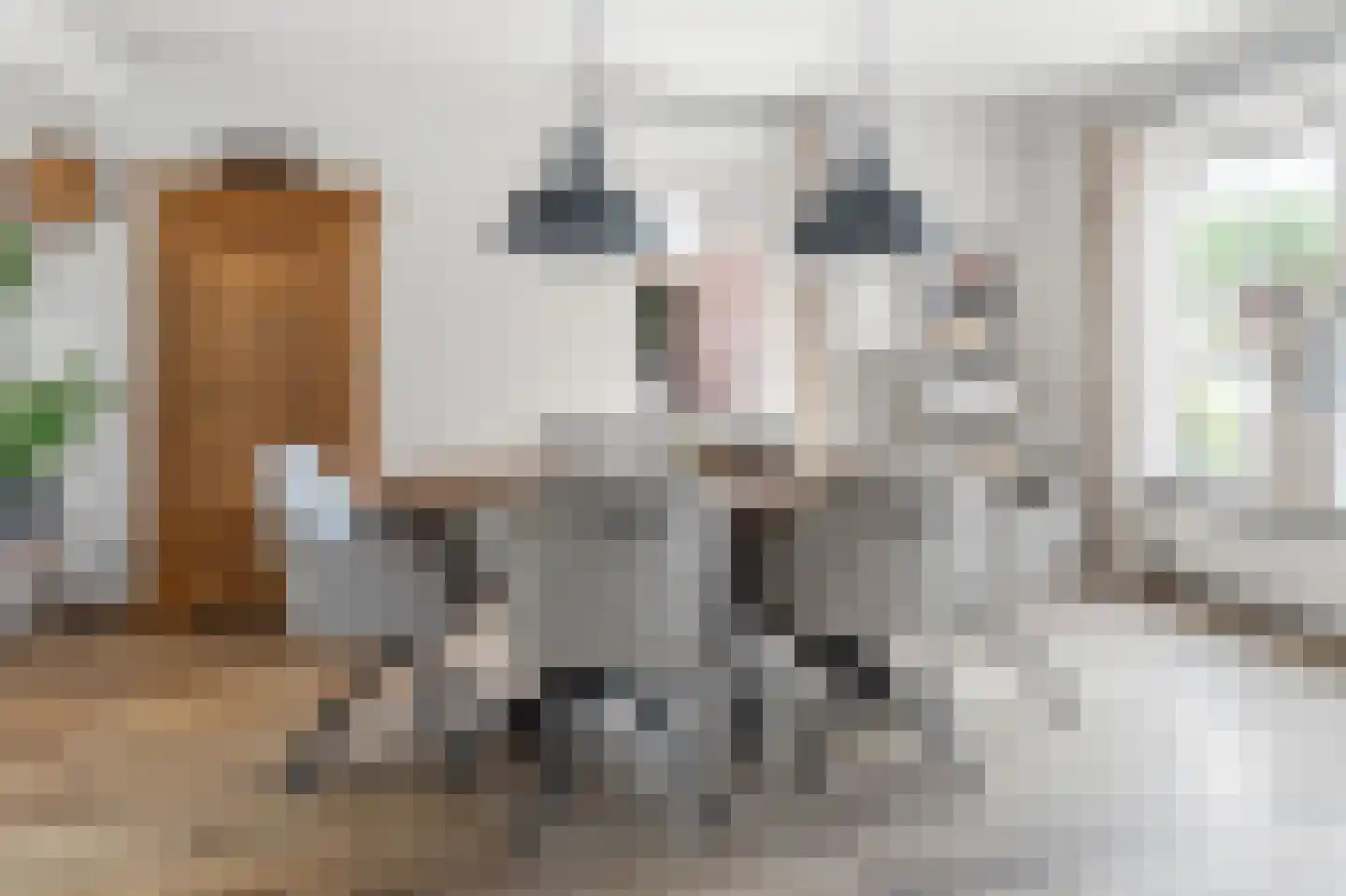 de Hoeve 3 Nieuw Heeten thumbnail 15