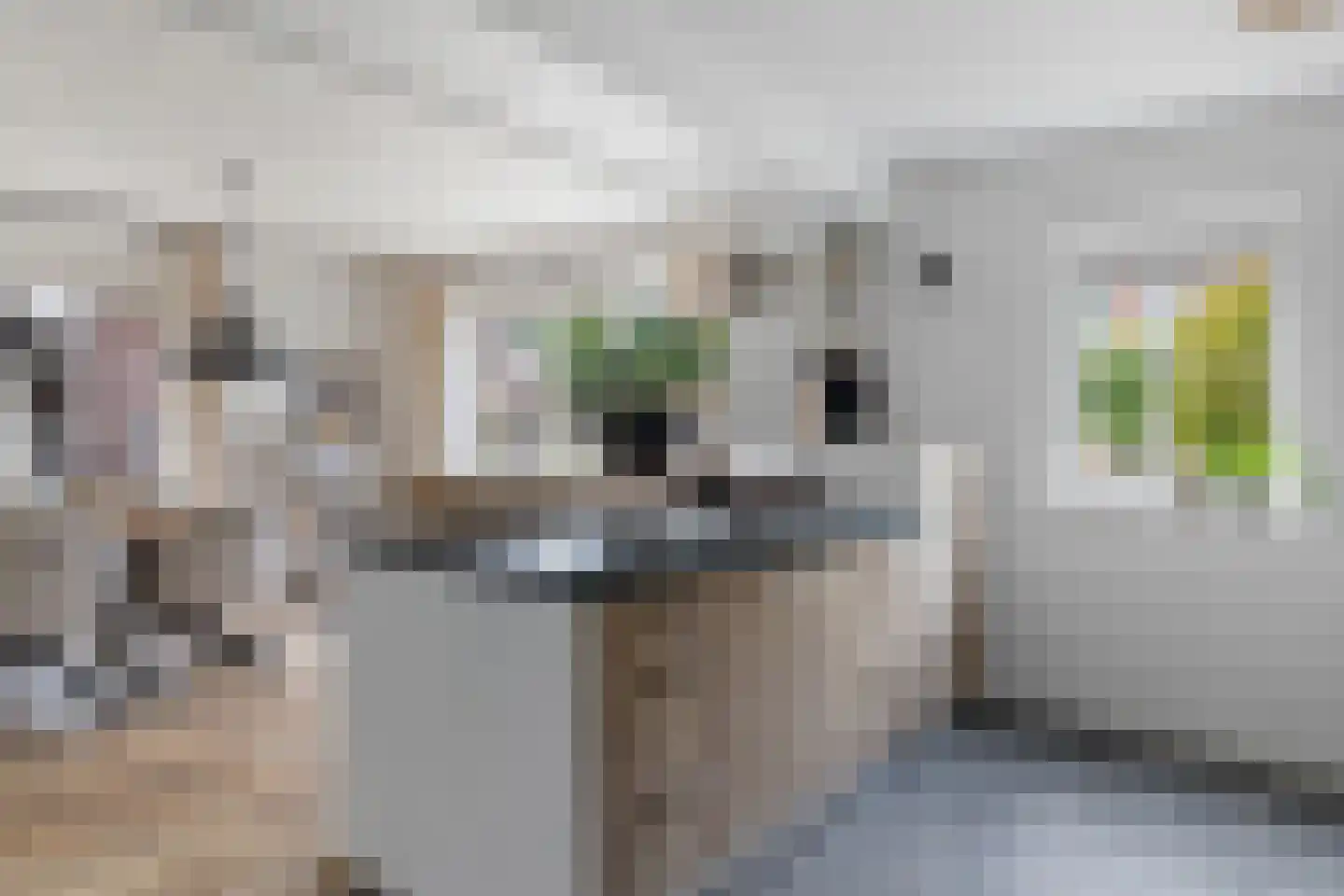 de Hoeve 3 Nieuw Heeten thumbnail 17