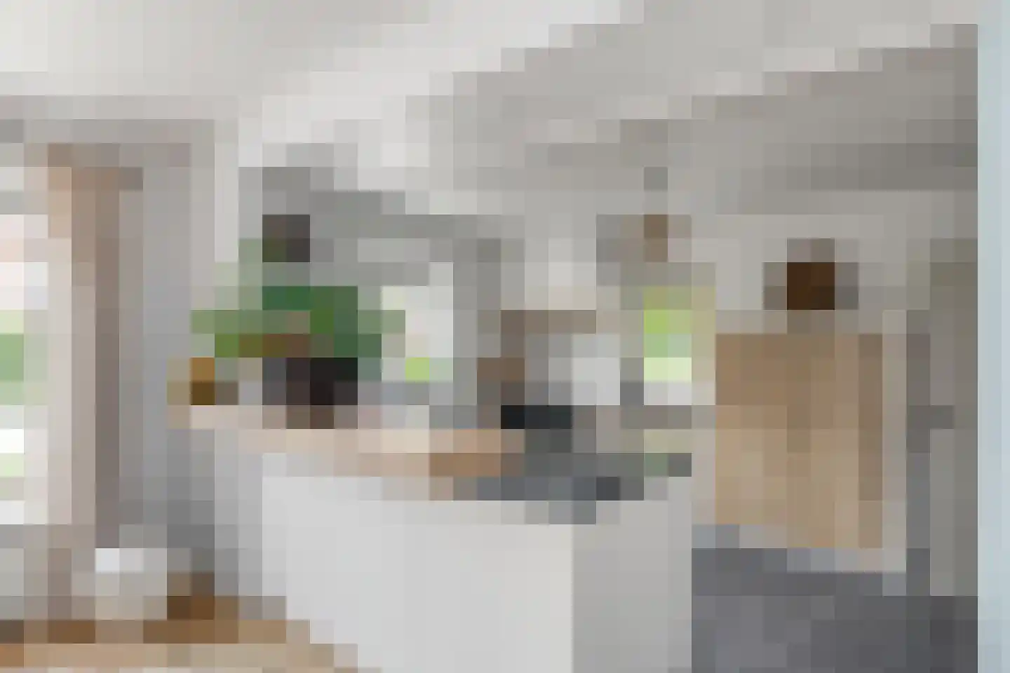 de Hoeve 3 Nieuw Heeten thumbnail 18