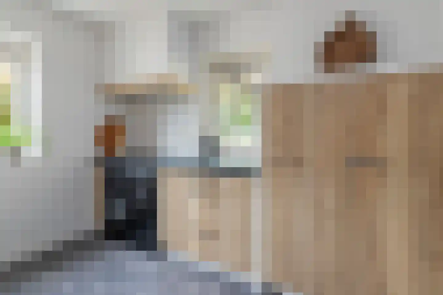 de Hoeve 3 Nieuw Heeten thumbnail 20