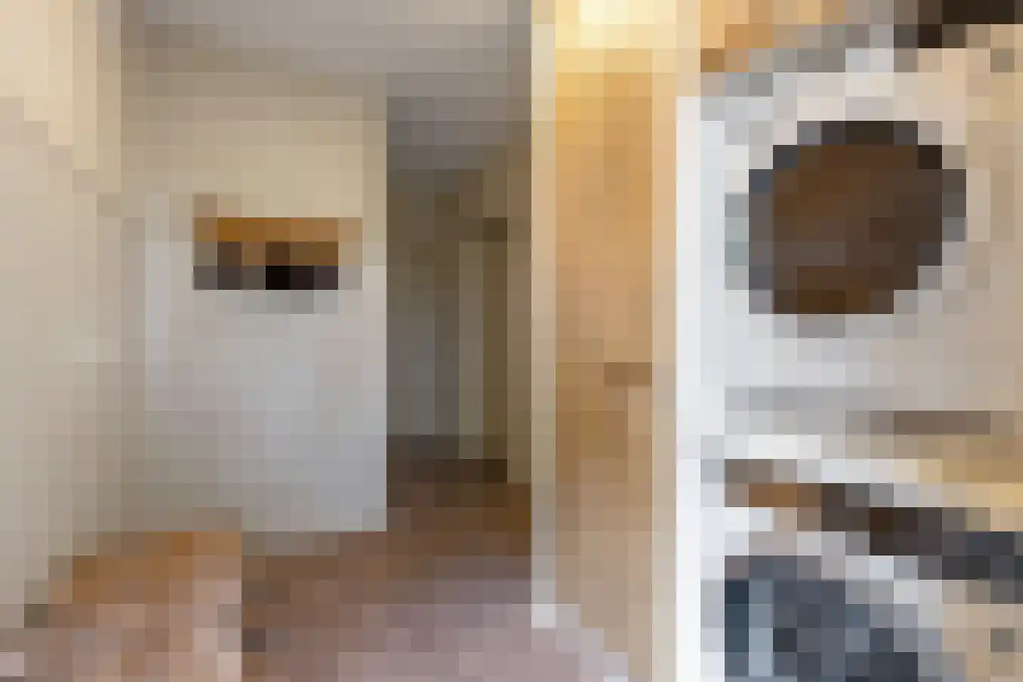 de Hoeve 3 Nieuw Heeten thumbnail 21