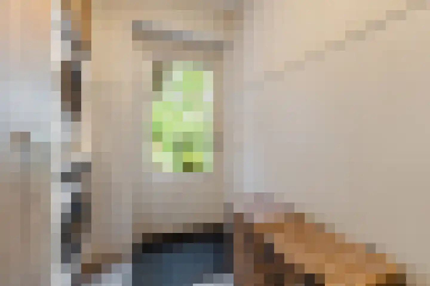 de Hoeve 3 Nieuw Heeten thumbnail 22
