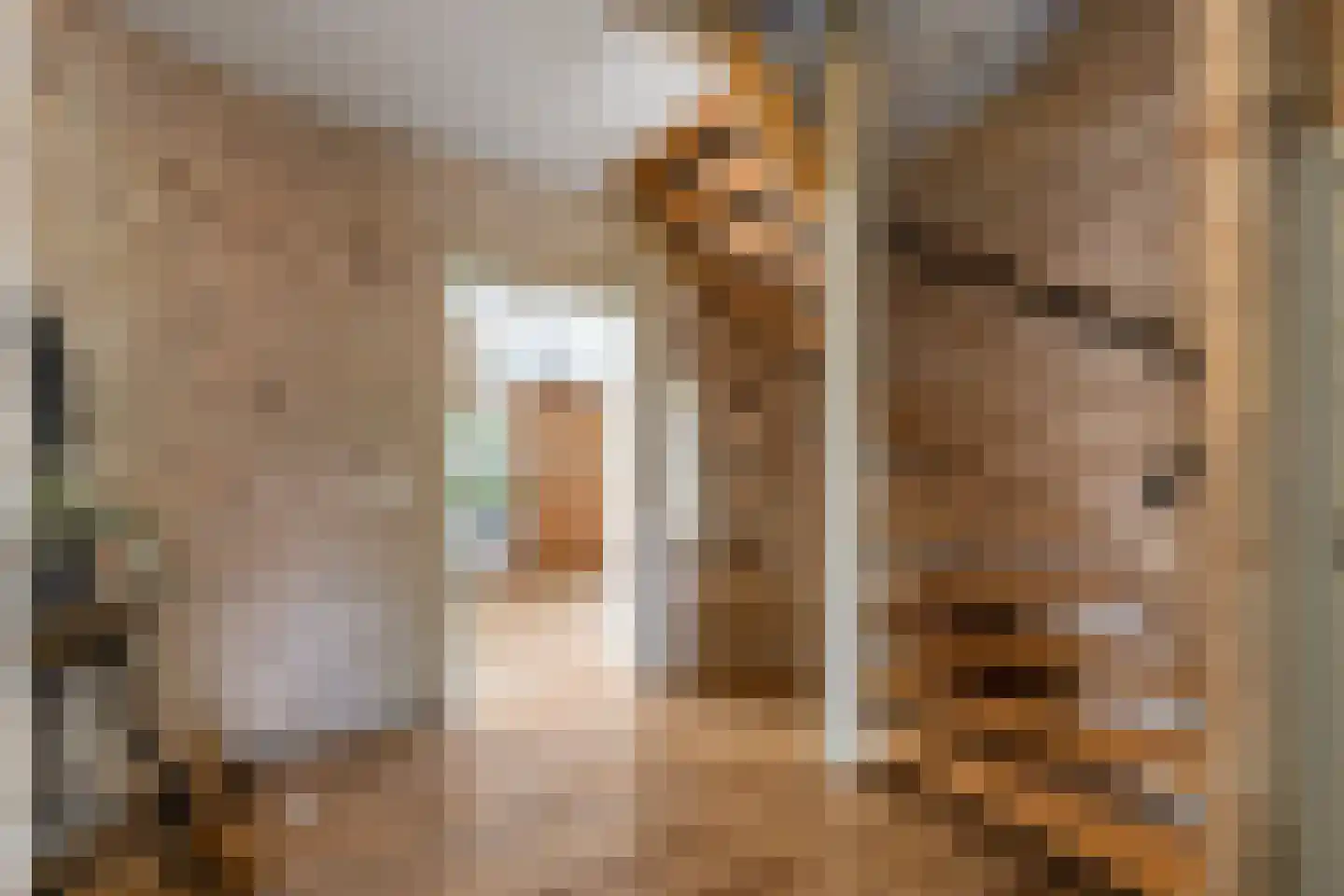 de Hoeve 3 Nieuw Heeten thumbnail 24