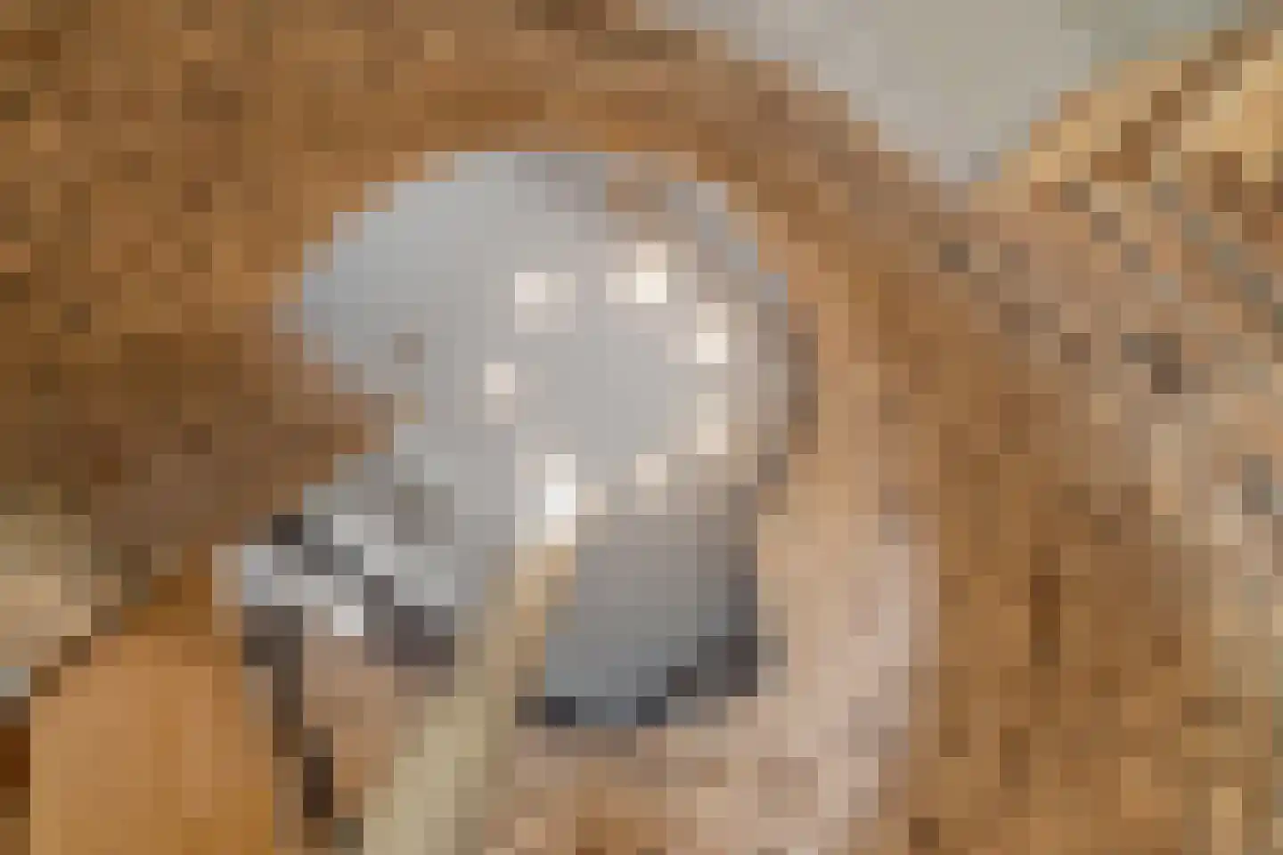 de Hoeve 3 Nieuw Heeten thumbnail 26