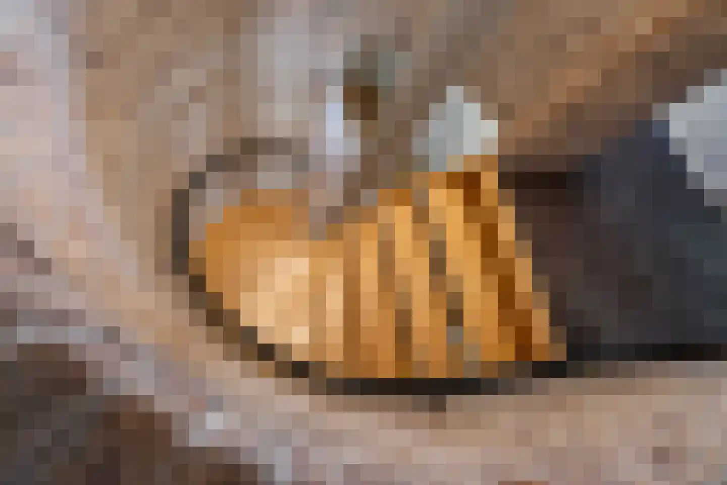 de Hoeve 3 Nieuw Heeten thumbnail 27