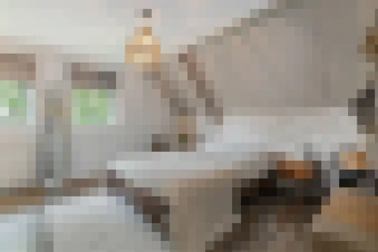 de Hoeve 3 Nieuw Heeten thumbnail 28