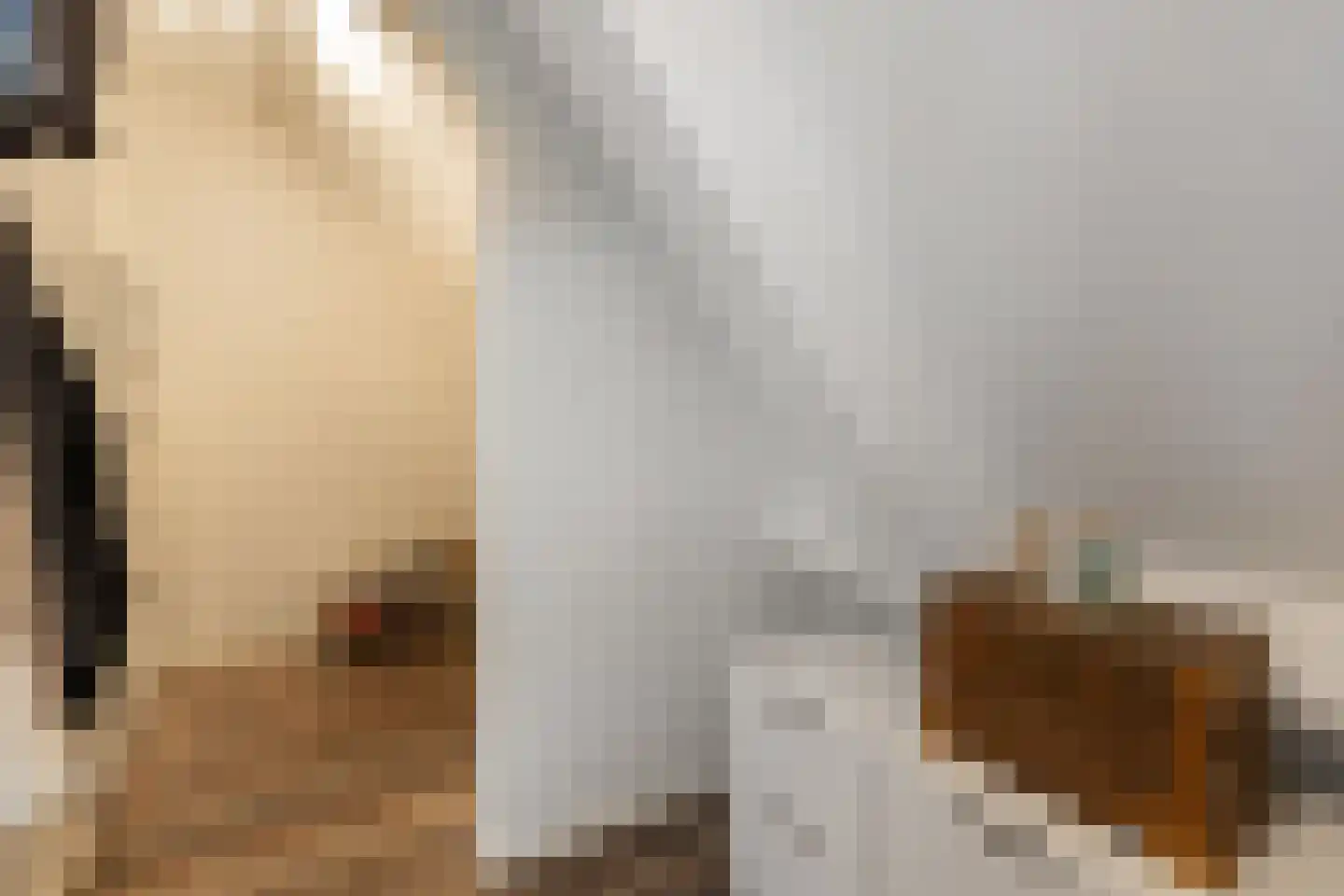 de Hoeve 3 Nieuw Heeten thumbnail 29