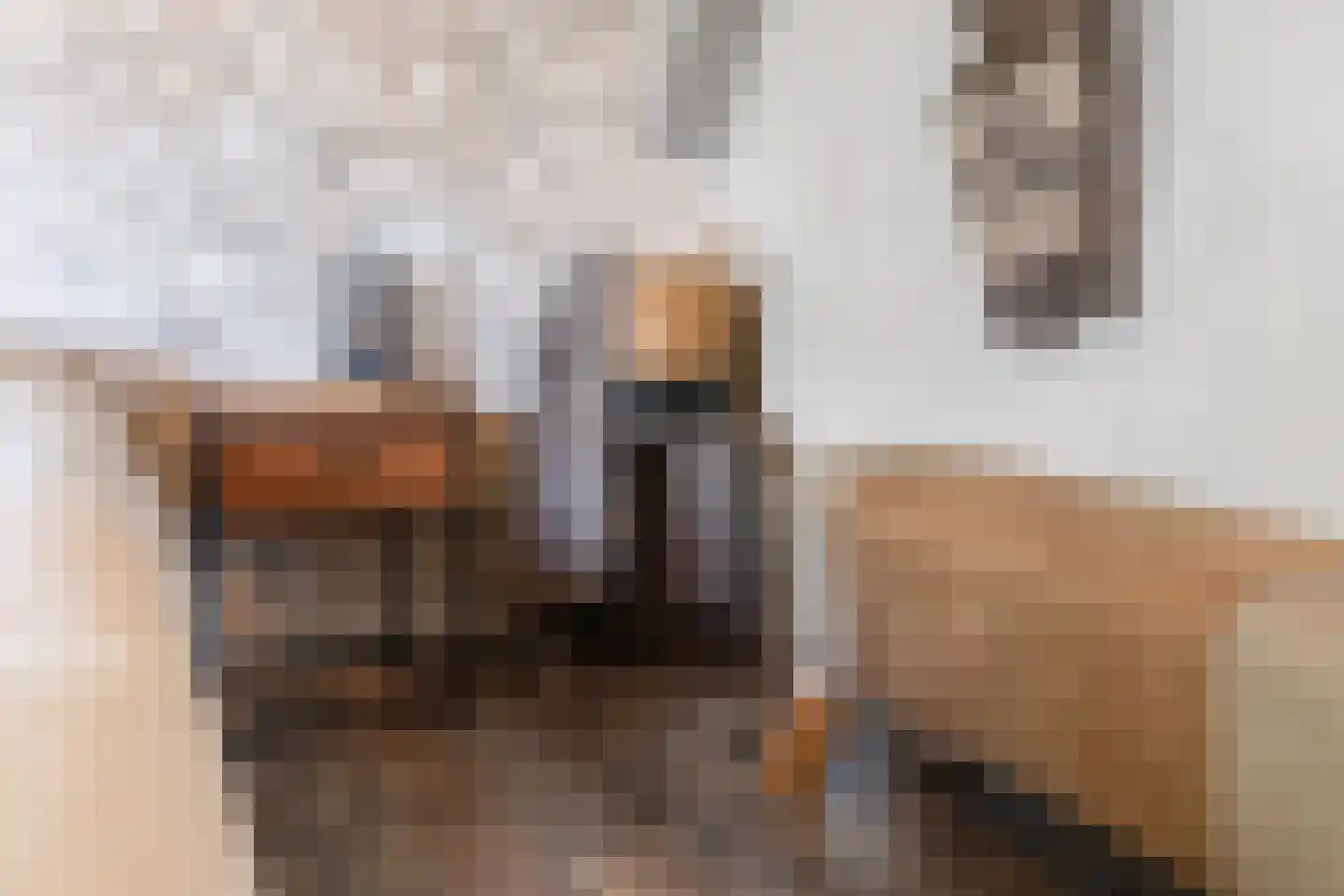 de Hoeve 3 Nieuw Heeten thumbnail 31