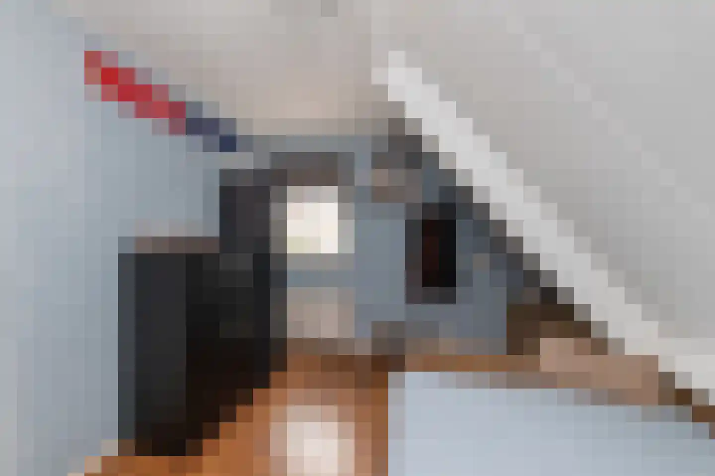 de Hoeve 3 Nieuw Heeten thumbnail 33