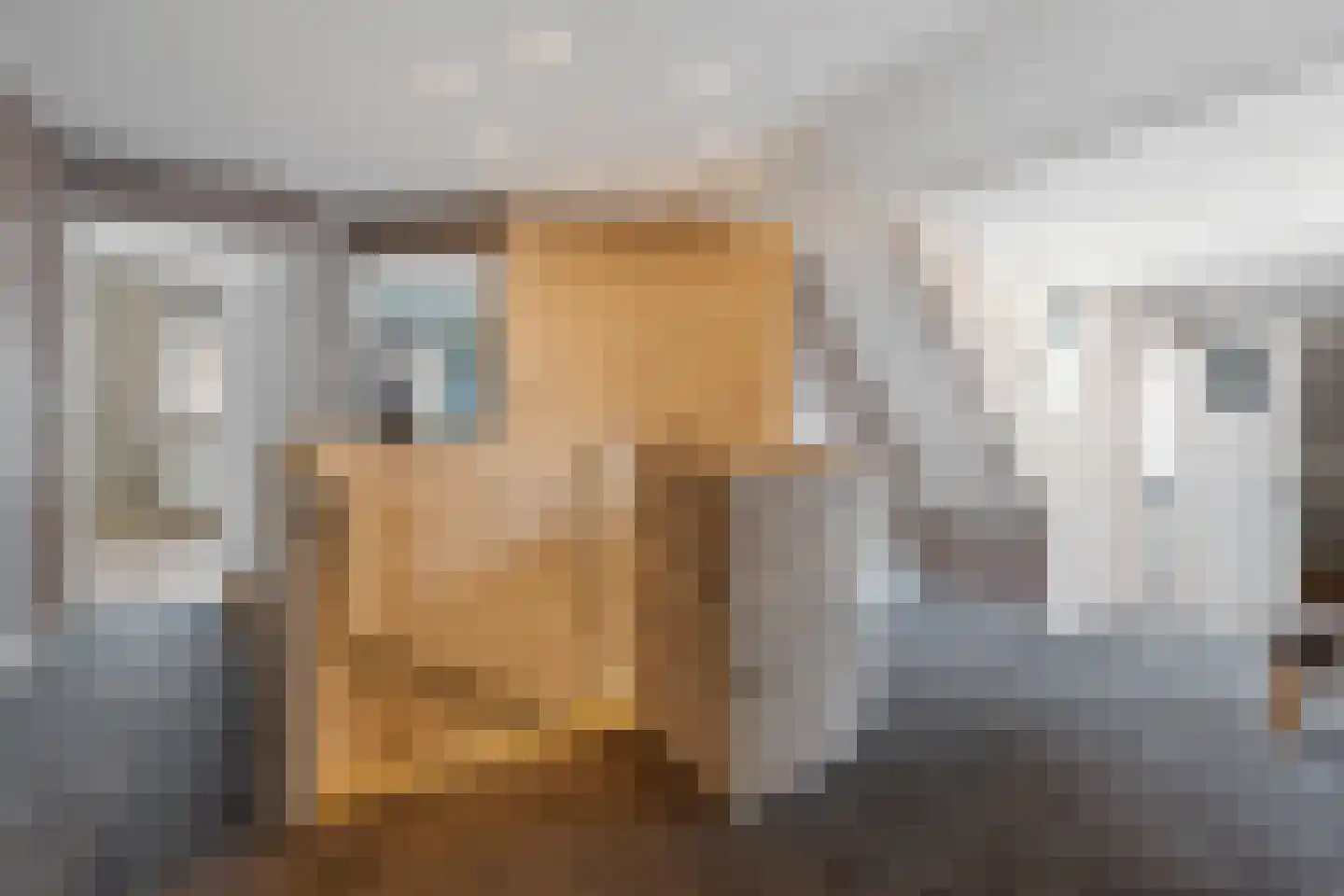 de Hoeve 3 Nieuw Heeten thumbnail 41