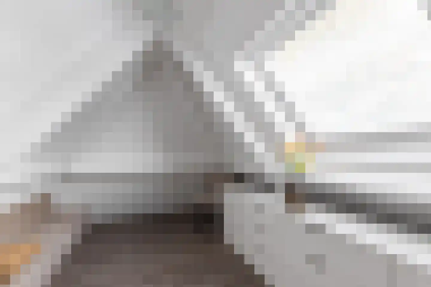 de Hoeve 3 Nieuw Heeten thumbnail 43