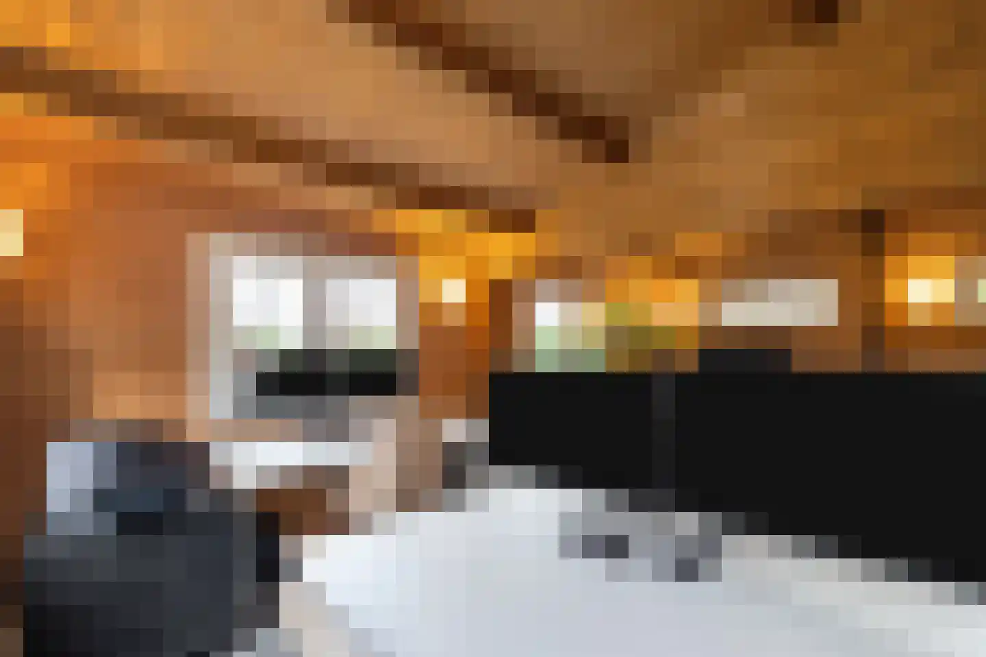 de Hoeve 3 Nieuw Heeten thumbnail 44