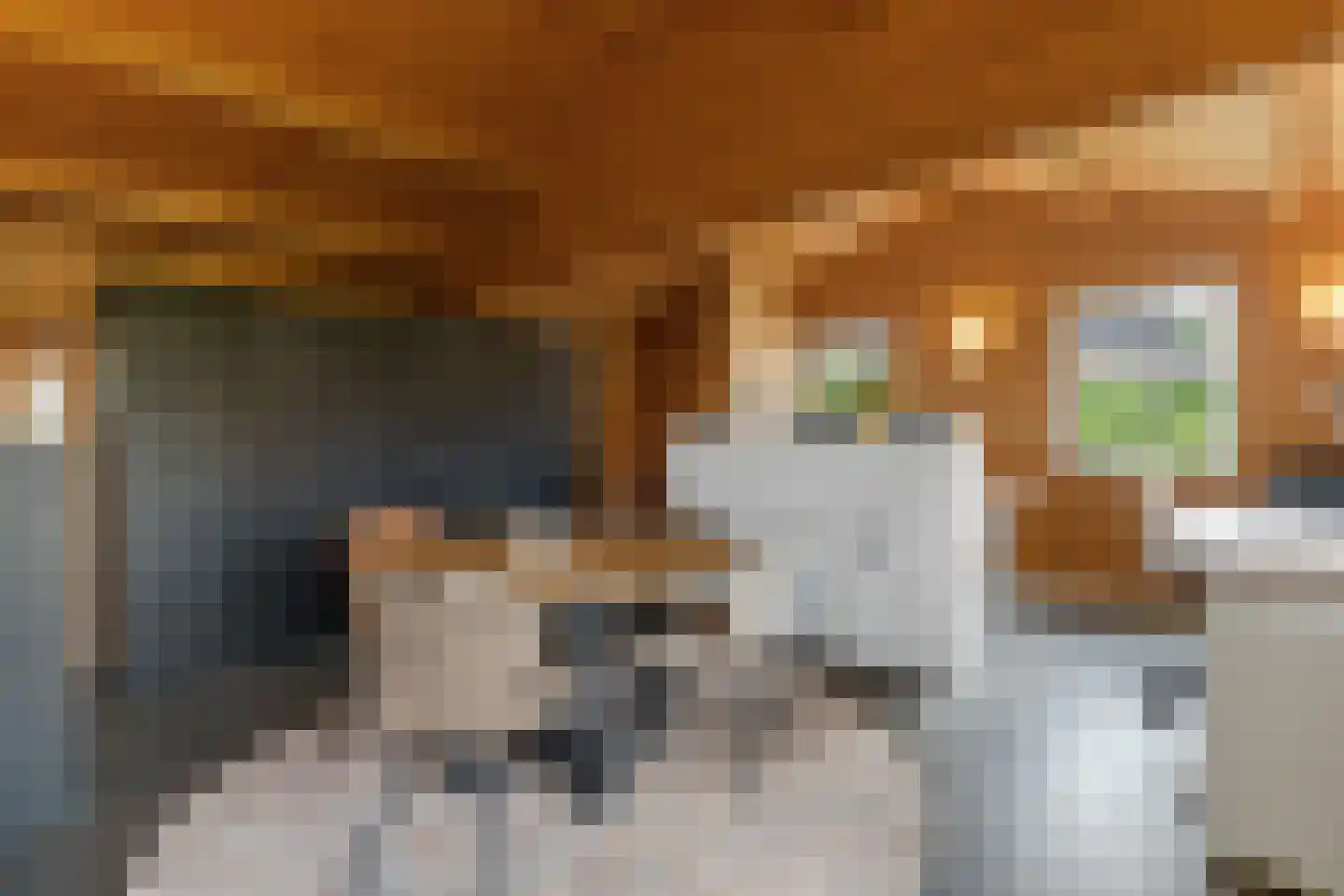 de Hoeve 3 Nieuw Heeten thumbnail 45