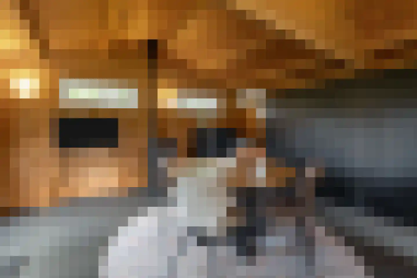de Hoeve 3 Nieuw Heeten thumbnail 46