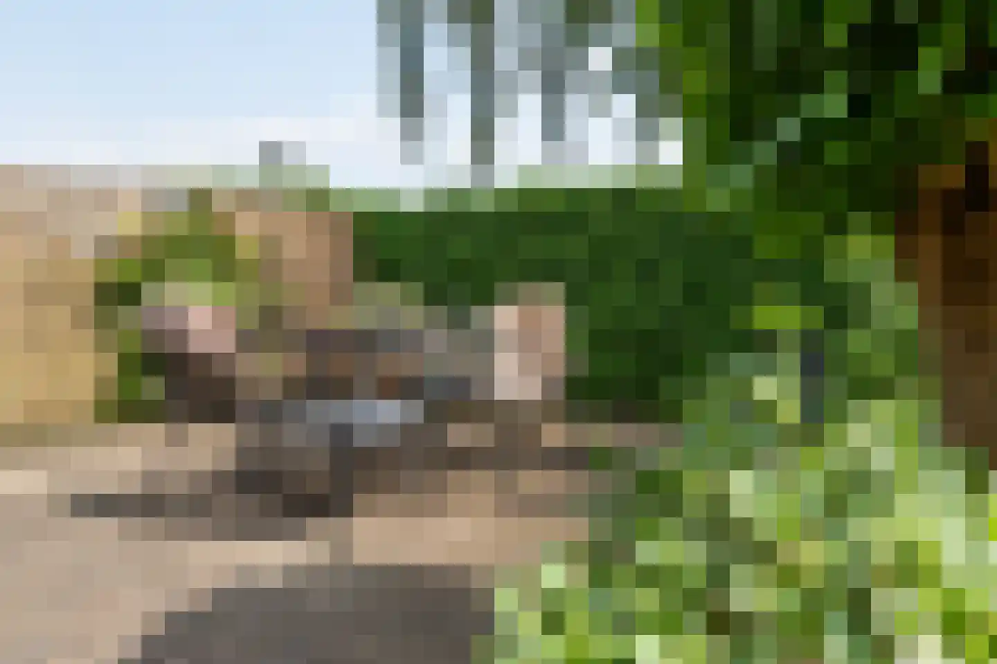 de Hoeve 3 Nieuw Heeten thumbnail 50