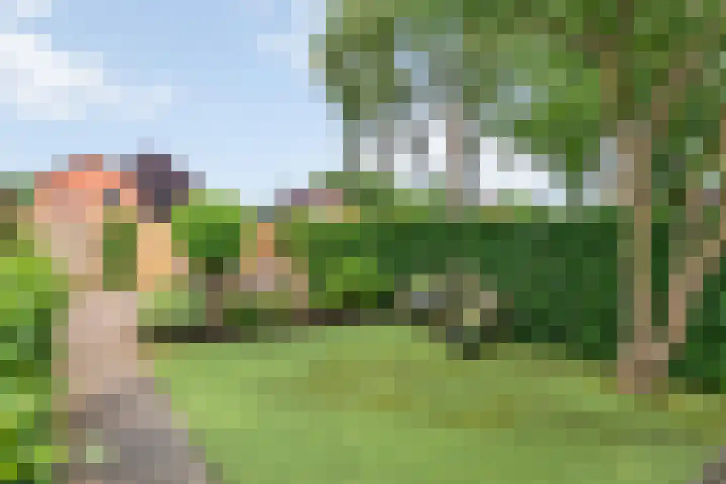 de Hoeve 3 Nieuw Heeten thumbnail 51