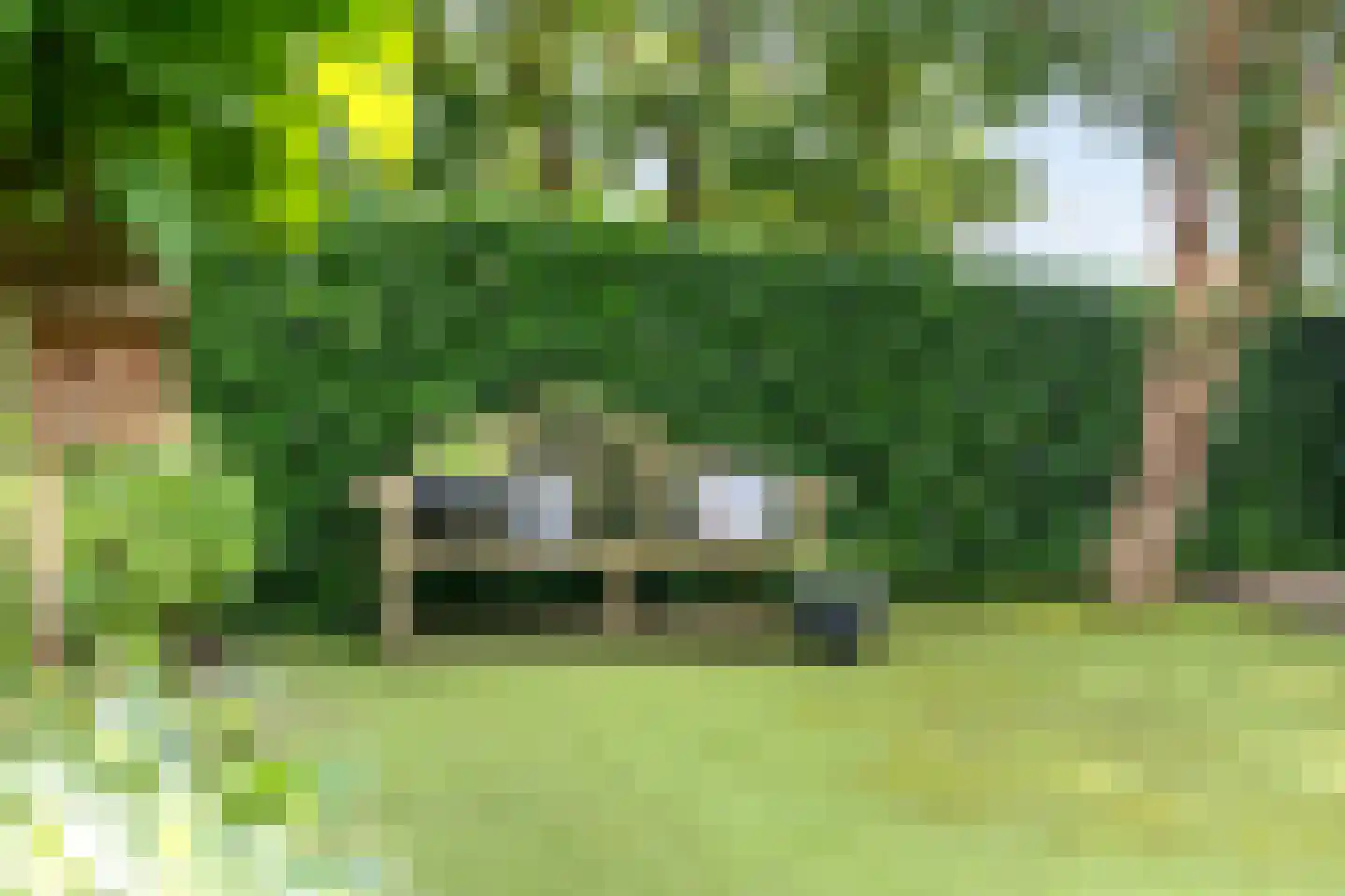 de Hoeve 3 Nieuw Heeten thumbnail 52