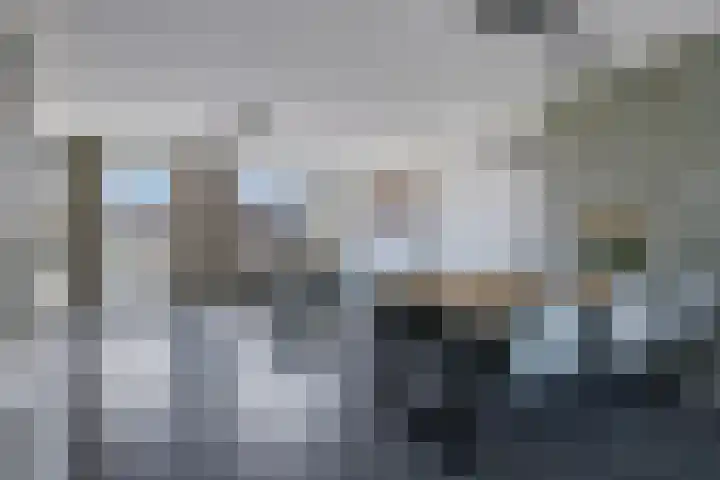 De Hoeve 52 Beek en Donk thumbnail 11